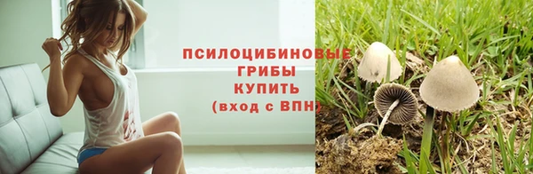 герыч Аркадак